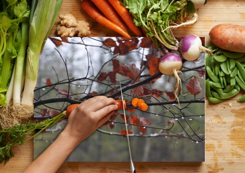 Planche à  découper Branches