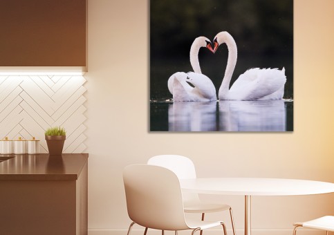Tableaux personnalisés  Coeur de cygne