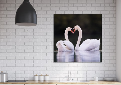 Tableaux personnalisés  Coeur de cygne