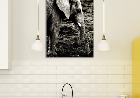 Tableaux personnalisés  Eléphant et suricate