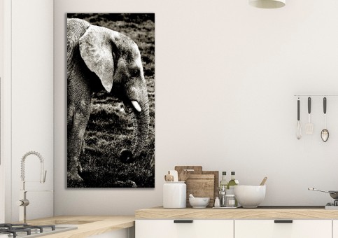 Tableaux personnalisés  Eléphant et suricate