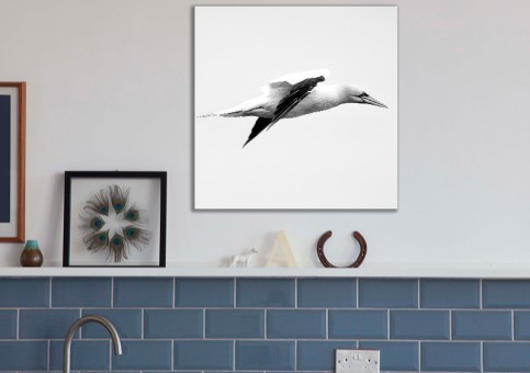 Tableaux personnalisés  Fou de Bassan 2