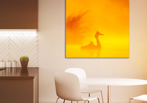 Tableaux personnalisés  Grà¨be huppé