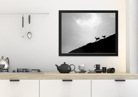 Tableaux personnalisés  Chamois 2