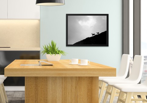 Tableaux personnalisés  Chamois 2