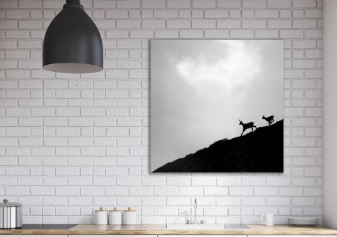 Tableaux personnalisés  Chamois 2