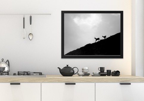 Tableaux personnalisés  Chamois 2