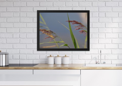 Tableaux personnalisés  Herbes folles
