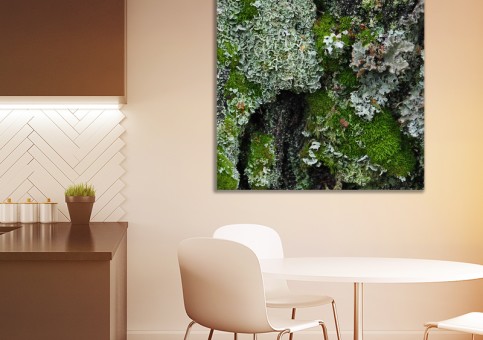 Tableaux personnalisés  Mousses