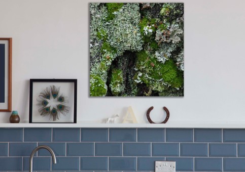 Tableaux personnalisés  Mousses