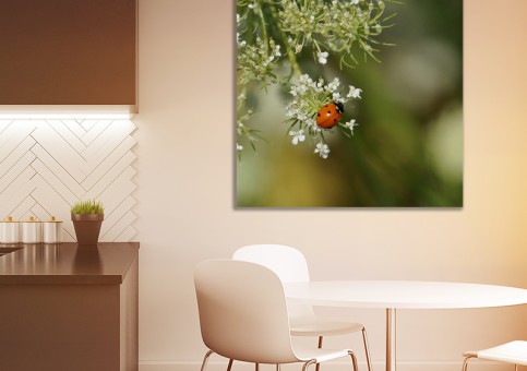 Tableaux personnalisés  Coccinelle