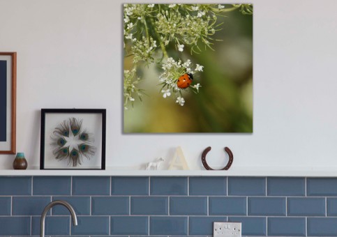Tableaux personnalisés  Coccinelle