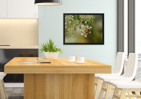 Tableaux personnalisés  Coccinelle