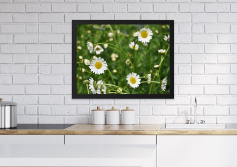 Tableaux personnalisés  Marguerites