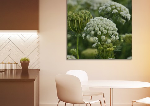 Tableaux personnalisés  Fleurs sauvages