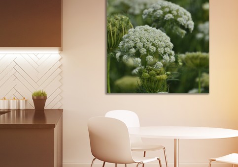 Tableaux personnalisés  Fleurs sauvages