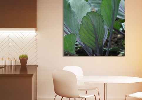 Tableaux personnalisés  Choux