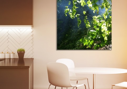 Tableaux personnalisés  Sous-bois