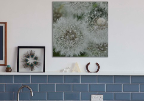 Tableaux personnalisés  Graines de pissenlit