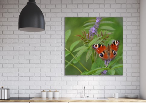 Tableaux personnalisés  Papillon