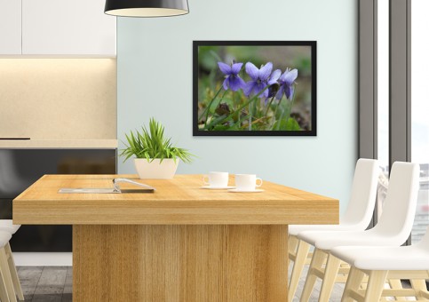 Tableaux personnalisés  Violettes