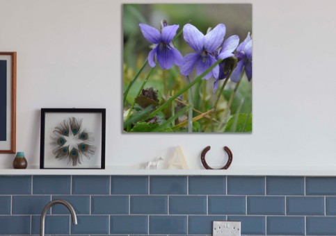 Tableaux personnalisés  Violettes