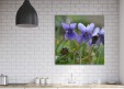 Tableaux personnalisés  Violettes
