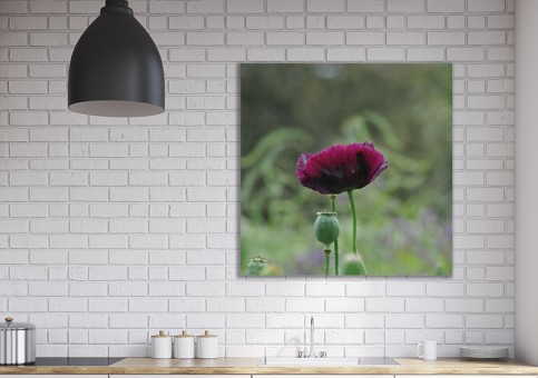 Tableaux personnalisés  Pavot