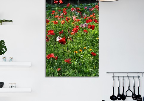 Tableaux personnalisés  Coquelicots