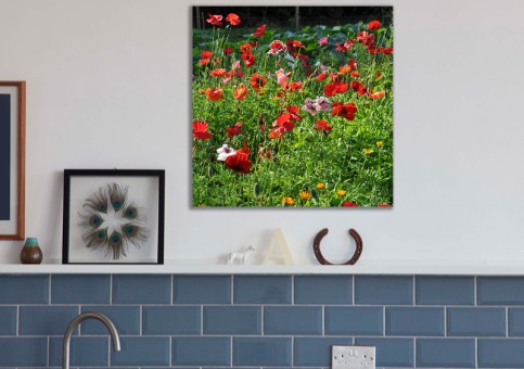 Tableaux personnalisés  Coquelicots