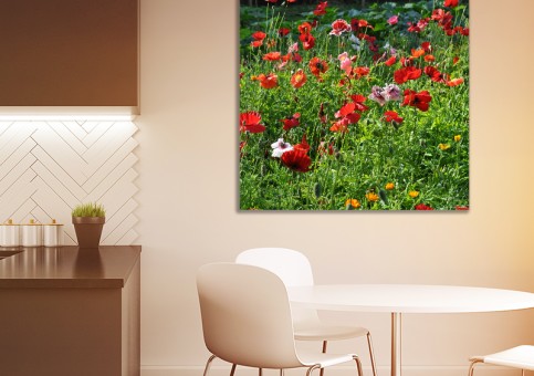 Tableaux personnalisés  Coquelicots