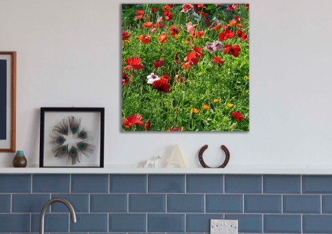 Tableaux personnalisés  Coquelicots