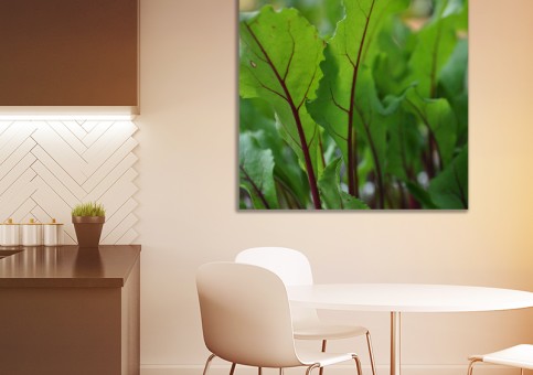 Tableaux personnalisés  Pousses de betterave