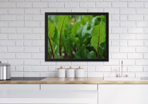 Tableaux personnalisés  Pousses de betterave