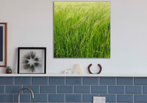 Tableaux personnalisés  Champ de blé 1