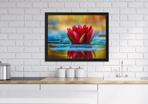 Tableaux personnalisés  Water lily