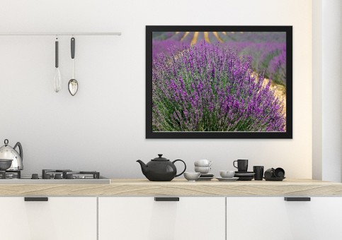 Tableaux personnalisés  Lavande