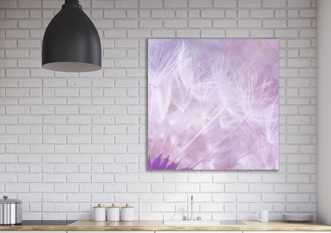 Tableaux personnalisés  Pissenlit violet
