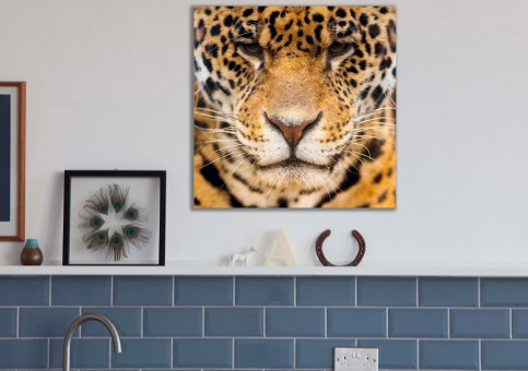 Tableaux personnalisés  Portrait Léopard