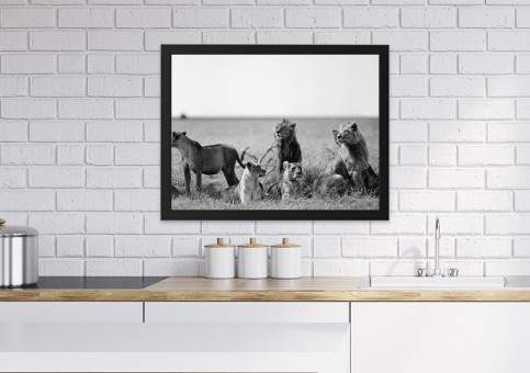 Tableaux personnalisés  Bande de lions