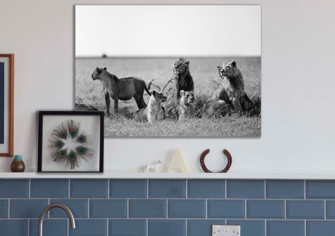 Tableaux personnalisés  Bande de lions