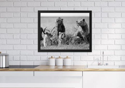 Tableaux personnalisés  Bande de lions