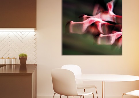 Tableaux personnalisés  Vol de flamands