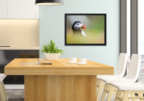 Tableaux personnalisés  Portrait de macareux