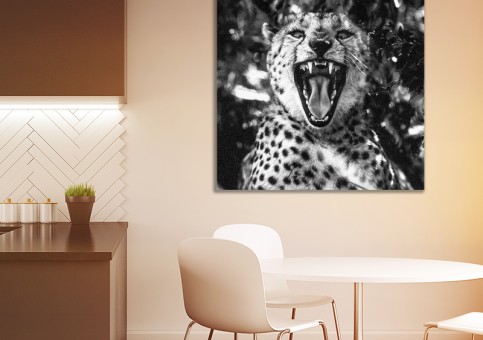 Tableaux personnalisés  Portrait de Guépard 