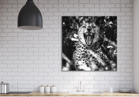 Tableaux personnalisés  Portrait de Guépard 
