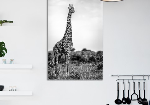 Tableaux personnalisés  Girafe