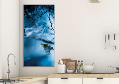 Tableaux personnalisés  Oiseau Tisserin