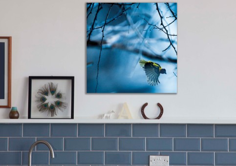 Tableaux personnalisés  Oiseau Tisserin