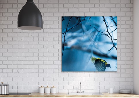 Tableaux personnalisés  Oiseau Tisserin